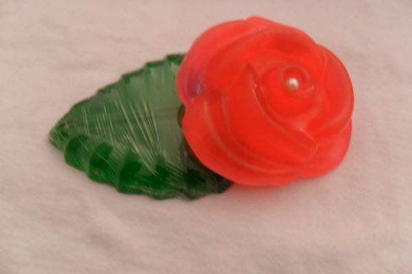 Flor com Folha