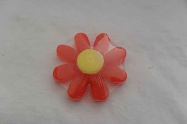 margarida